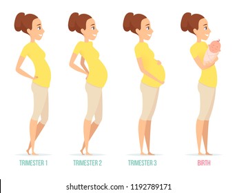 Pregnancy stages. Happy mom with newborn child female pregnancy trimesters vector characters isolated. Illustration of motherhood, pregnant female