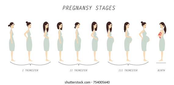 Pregnancy stages illustration. From beginning to childbirth.