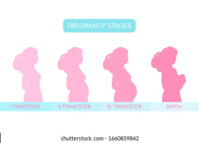 Pregnancy stages info graphic concept on white background. Changes in a woman's body, trimesters and birth, pregnant woman and baby. Vector illustration 