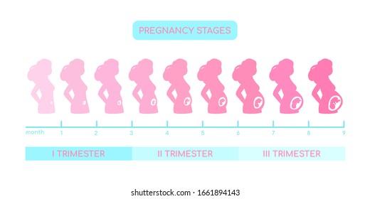 527 Childbirth body change Images, Stock Photos & Vectors | Shutterstock