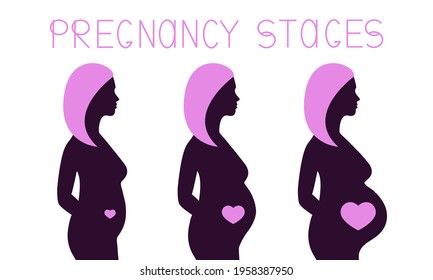 Pregnancy stages infographic. Pregnant woman silhouette during 3 trimesters. Female body changes and belly grows. Vector illustration. 