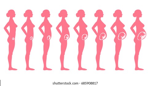 Vista lateral de la fase de embarazo. Silueta femenina, guía del calendario médico del trimestre hasta el nacimiento. Ilustración de estilo plano vectorial aislada en fondo blanco