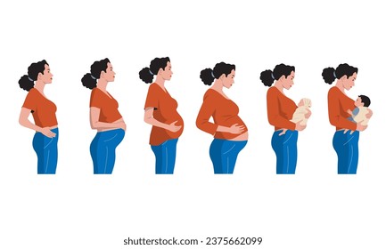 Pregnancy stages. Timeline of pregnancy woman from embryo to newborn baby, cartoon prenatal child development concept. Vector infographic. Pregnant female character on different weeks