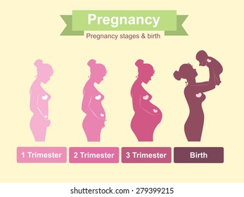 Pregnancy Stages, Trimesters And Birth, Pregnant Woman And Baby. Infographic Elements