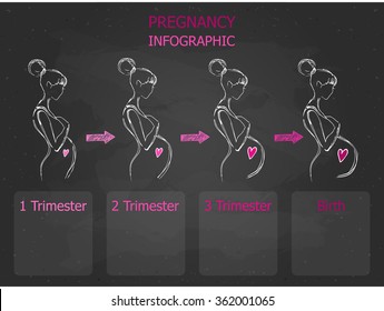 Pregnancy stages and trimesters- birth, pregnant woman of hand drawn on a dark background, vector illustration.