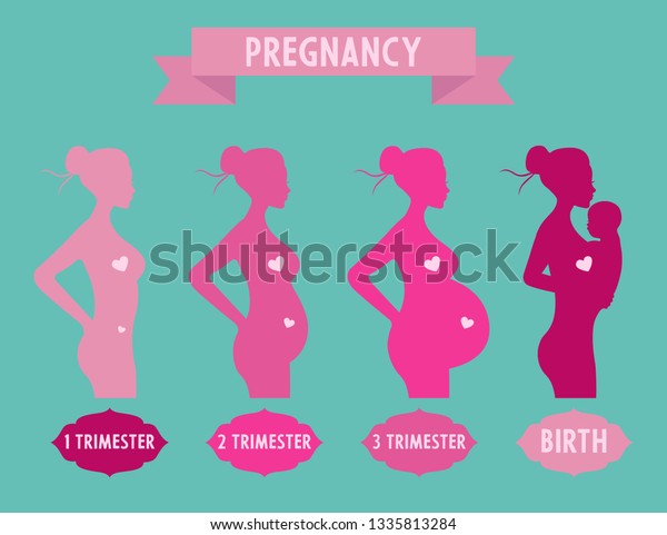 Pregnancy Stages Trimesters Birth Pregnant Woman Stock Vector (Royalty ...