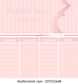 Pregnancy stages. Vector illustration