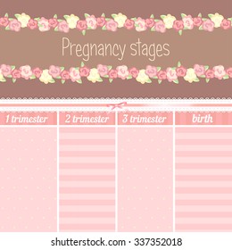 Pregnancy stages. Vector illustration