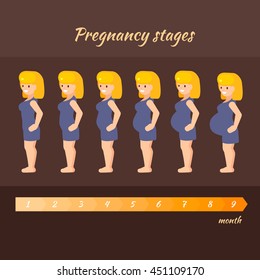 Pregnancy stages of the woman. Vector illustration of pregnant woman in different period in flat style.