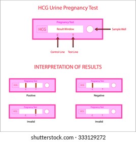 Pregnancy test and interpretation of result test,HCG Urine Pregnancy test