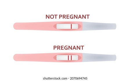 Pregnancy Test Positive Negative Vector Stock Vector (Royalty Free ...