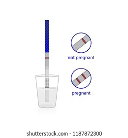 Pregnancy test set. Positive and negative pregnancy tests