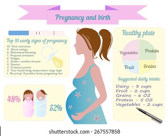 Pregnancy trimester info graphic vector illustration
