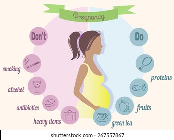 Pregnancy trimester info graphic vector illustration