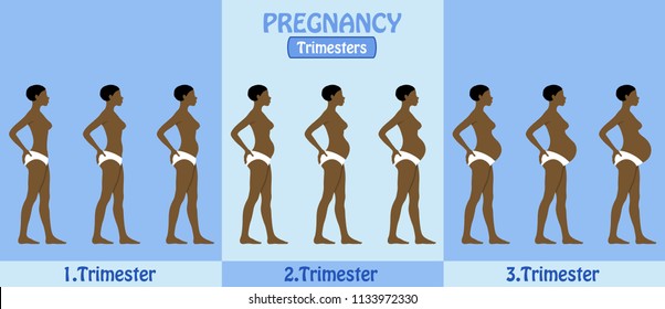Pregnancy Trimesters of African pregnant woman with pants. All the objects and body stages are in different layers and the text types do not need any font. 