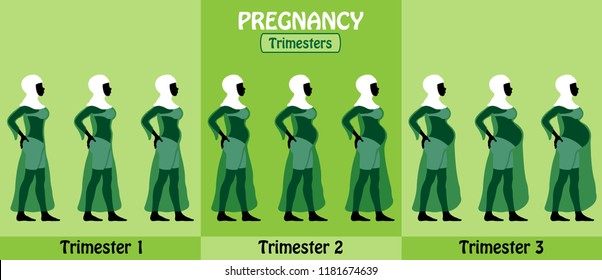 Pregnancy trimesters of pregnant black muslim woman with hijab and transparent dress. All the objects and body stages are in different layers and the text types do not need any font. 