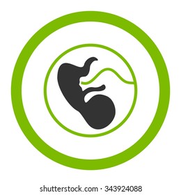Pregnancy vector icon. Style is bicolor flat rounded symbol, eco green and gray colors, rounded angles, white background.