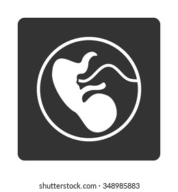 Pregnancy vector icon. Style is flat rounded square button, white and gray colors, white background.