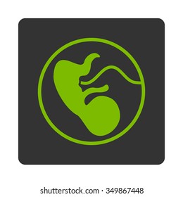 Pregnancy vector icon. Style is flat rounded square button, eco green and gray colors, white background.
