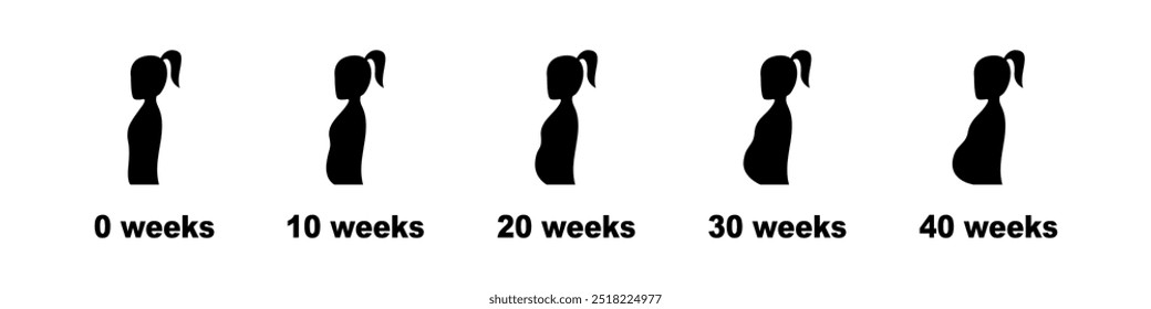 Pregnancy Week Female Body Changes Icons. Changes in the female body during pregnancy