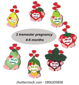 Pregnancy weekly pack of stickers. Fetal size by week. Fruits and vegetables. Vector illustration, icons.