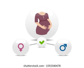 Pregnancy woman. Infographics with boy or girl. Vector illustration