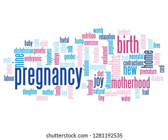 PREGNANCY word cloud