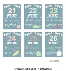 pregnancy21-26 weeks Vector design templates for journal cards,Pregnancy stages, trimesters and birth, pregnant woman and baby. Infographic elements