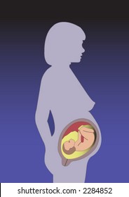 pregnant