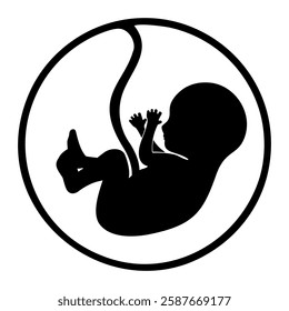 pregnant baby in mother's belly 
