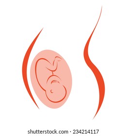 Pregnant belly