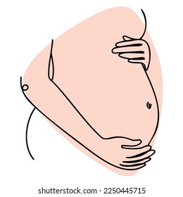 Pregnant belly hand drawn in line art style.