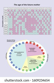 Сonception of pregnant calendar. Waiting baby poster. Test of baby gender. Concept boy or girl.
