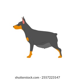 Pregnant Dog, Veterinary Flat Vector Illustration