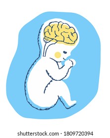 Pregnant Fetus And Fetal Brain