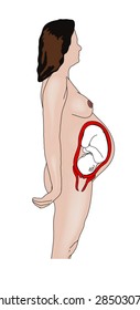 Pregnant woman