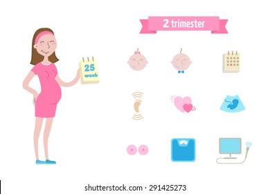 Pregnant Woman 2nd Trimester. Icon Set - Part 3. Vector Illustration.