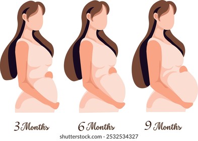 pregnant woman at 3 months, 6 months, and 9 months