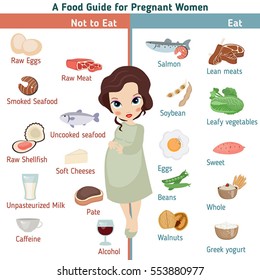Pregnant Woman Diet Infographic. A Food Guide For Pregnant Woman.