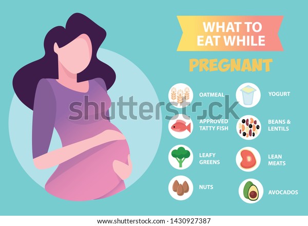 Pregnant Woman Diet Infographic Food Guide Stock Vector (Royalty Free ...