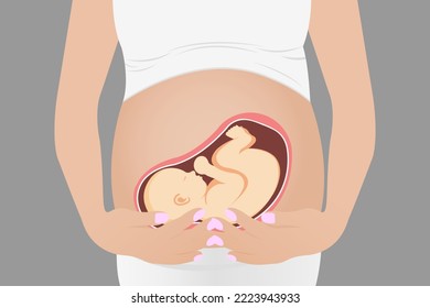 Pregnant woman, expectant mother hugs her belly with her hands