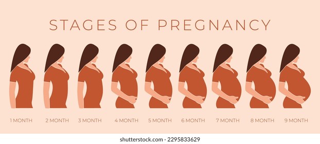 Mujer embarazada con el vientre en crecimiento por meses. Cambios en el cuerpo de la mujer durante el embarazo. Etapas del embarazo. Ilustración vectorial sin rostro. EPS 10.