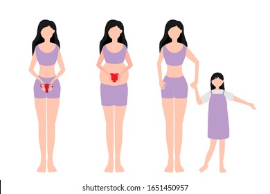 pregnant woman and human development with their female uterus. Medical and healthcare for pregnancy woman concept illustration. 