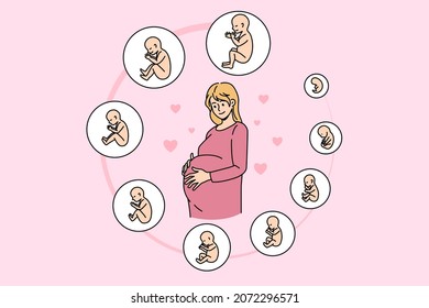 Pregnant woman touch belly ready for future maternity. Pregnancy embryo stages development. Baby childbirth phases by month. Fertility, ivf, motherhood concept. Vector illustration. 