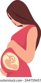 A pregnant woman touching her belly. A baby in a belly of a pregnant woman. Transparent background. Vector illustration