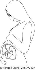 Eine schwangere Frau berührt ihren Bauch. Ein Baby in der Gebärmutter befindet sich mit erhobenem Kopf in der fetalen Position. Vektorillustration umreißen. Transparenter Hintergrund.