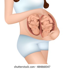 Pregnant woman with twins in her womb. Vector illustration.