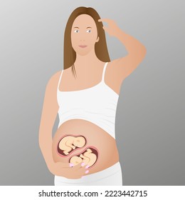 Pregnant woman with twins in the womb. Vector illustration.