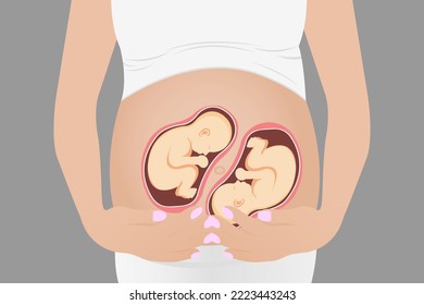 Pregnant woman with twins in the womb. Vector illustration.