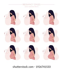 Mujer joven embarazada. Etapas del embarazo - 9 meses. Ilustración vectorial plana dibujada a mano. Embarazo, maternidad a la espera del concepto de etapas de embarazo de bebé.